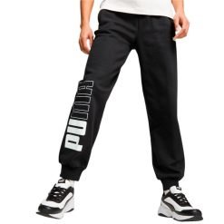 Pantaloni Puma Power Colorblock Sweatpants Fl 676025-01