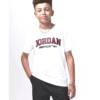 Tricou jordan sport jordan ss tee 95d487-001