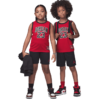 Compleu jordan jdn jordan 23 jersey set 85c919-023